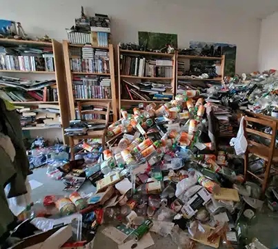 Syndrome de Diogène