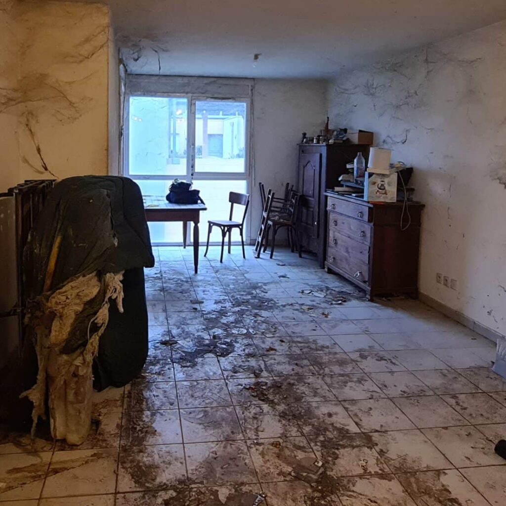 Diogène avant - Les Débarrasseurs de l'Extrême