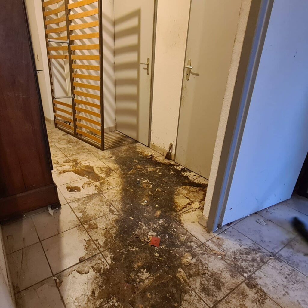 Diogène - Les Débarrasseurs de l'Extrême