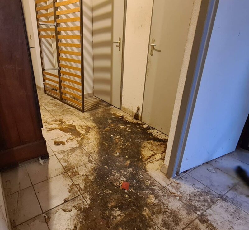 Diogène - Les Débarrasseurs de l'Extrême