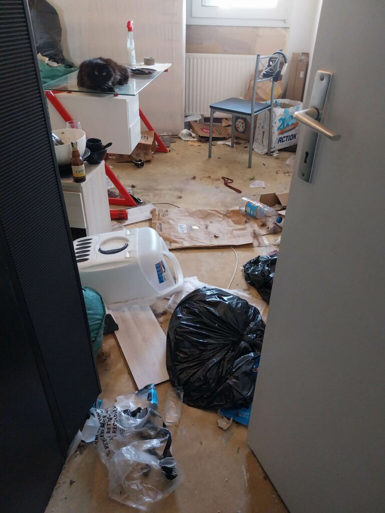 Syndrome de Diogène